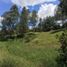  Land for sale in El Carmen De Viboral, Antioquia, El Carmen De Viboral