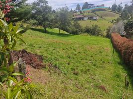 Terrain à vendre à Retiro, Antioquia, Retiro