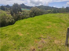 Terrain à vendre à Retiro, Antioquia, Retiro