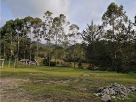  Land for sale in Guatape, Antioquia, Guatape