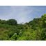  Land for sale in Magdalena, Santa Marta, Magdalena