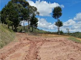  Terreno (Parcela) en venta en San Vicente, Antioquia, San Vicente