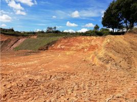  Terreno (Parcela) en venta en San Vicente, Antioquia, San Vicente