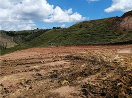  Terreno (Parcela) en venta en San Vicente, Antioquia, San Vicente