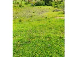  Land for sale in Marinilla, Antioquia, Marinilla