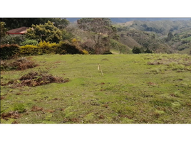  Land for sale in San Vicente, Antioquia, San Vicente