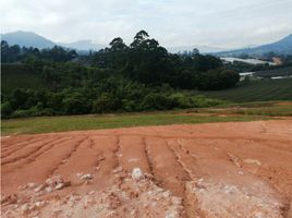  Land for sale in El Carmen De Viboral, Antioquia, El Carmen De Viboral