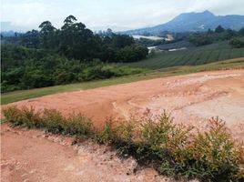  Land for sale in El Carmen De Viboral, Antioquia, El Carmen De Viboral