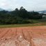  Land for sale in El Carmen De Viboral, Antioquia, El Carmen De Viboral