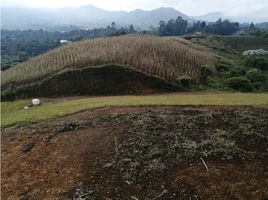  Land for sale in El Carmen De Viboral, Antioquia, El Carmen De Viboral