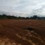  Land for sale in El Carmen De Viboral, Antioquia, El Carmen De Viboral