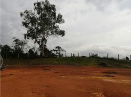  Land for sale in El Carmen De Viboral, Antioquia, El Carmen De Viboral