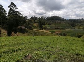 Terrain à vendre à Rionegro, Antioquia, Rionegro