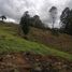Terrain à vendre à Rionegro, Antioquia, Rionegro