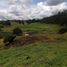 Terrain à vendre à Rionegro, Antioquia, Rionegro