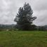  Land for sale in Retiro, Antioquia, Retiro