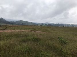  Terreno (Parcela) en venta en Retiro, Antioquia, Retiro