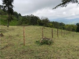  Grundstück zu verkaufen in Santa Rosa De Cabal, Risaralda, Santa Rosa De Cabal