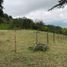  Terreno (Parcela) en venta en Risaralda, Santa Rosa De Cabal, Risaralda