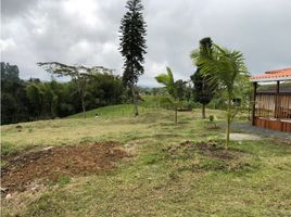  Terreno (Parcela) en venta en Risaralda, Santa Rosa De Cabal, Risaralda