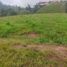  Land for sale in Retiro, Antioquia, Retiro