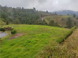  Terreno (Parcela) en venta en Retiro, Antioquia, Retiro