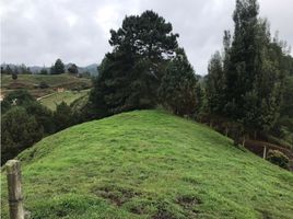  Terreno (Parcela) en venta en Retiro, Antioquia, Retiro