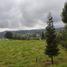  Land for sale in Retiro, Antioquia, Retiro