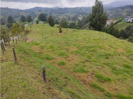  Terreno (Parcela) en venta en Retiro, Antioquia, Retiro