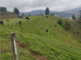 Terrain à vendre à Retiro, Antioquia, Retiro