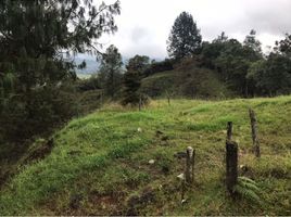  Grundstück zu verkaufen in Retiro, Antioquia, Retiro, Antioquia, Kolumbien