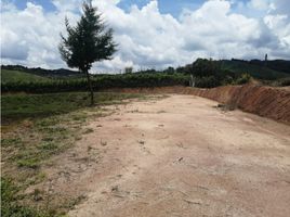  Land for sale in San Vicente, Antioquia, San Vicente