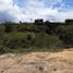  Land for sale in San Vicente, Antioquia, San Vicente