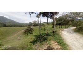  Land for sale in Barbosa, Antioquia, Barbosa