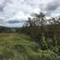 Terrain à vendre à Rionegro, Antioquia, Rionegro