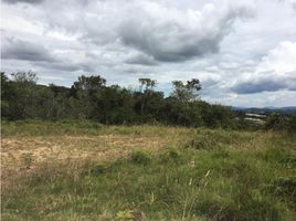 Terrain à vendre à Rionegro, Antioquia, Rionegro