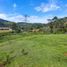  Land for sale in San Rafael, Antioquia, San Rafael