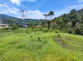  Land for sale in San Rafael, Antioquia, San Rafael