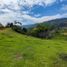  Land for sale in San Rafael, Antioquia, San Rafael