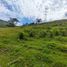  Land for sale in San Rafael, Antioquia, San Rafael