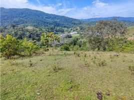  Land for sale in San Rafael, Antioquia, San Rafael