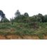 Terrain à vendre à Retiro, Antioquia, Retiro