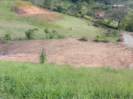  Land for sale in El Carmen De Viboral, Antioquia, El Carmen De Viboral