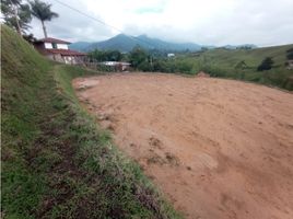  Land for sale in El Carmen De Viboral, Antioquia, El Carmen De Viboral