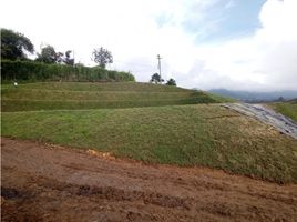  Land for sale in El Carmen De Viboral, Antioquia, El Carmen De Viboral