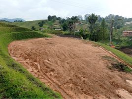  Land for sale in El Carmen De Viboral, Antioquia, El Carmen De Viboral