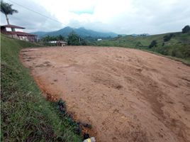  Land for sale in El Carmen De Viboral, Antioquia, El Carmen De Viboral