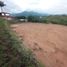  Land for sale in El Carmen De Viboral, Antioquia, El Carmen De Viboral