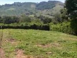  Land for sale in Manizales, Caldas, Manizales