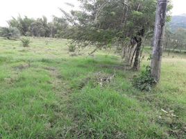  Land for sale in Manizales, Caldas, Manizales